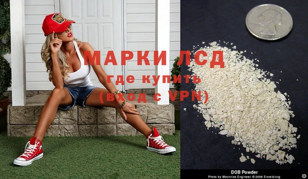 apvp Алзамай