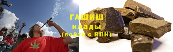 apvp Алзамай