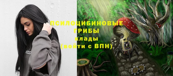 прущий лед Алексеевка