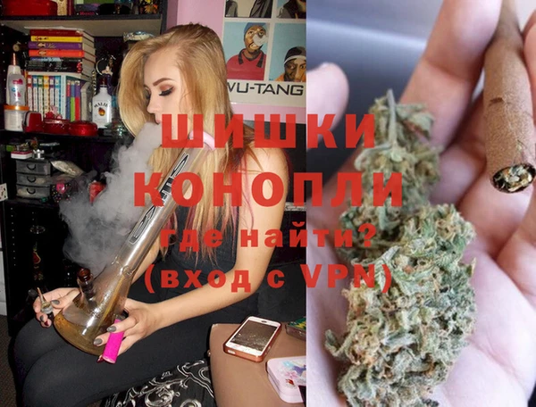 apvp Алзамай